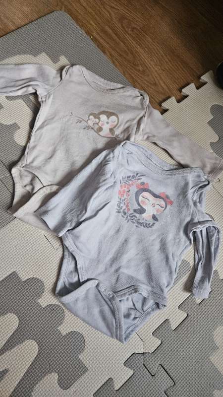 2 pieces owl set