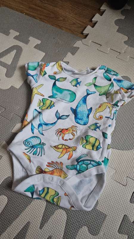 Next Sea horse romper