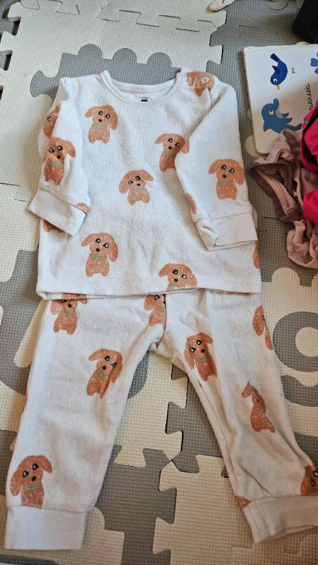 Dog tracksuit