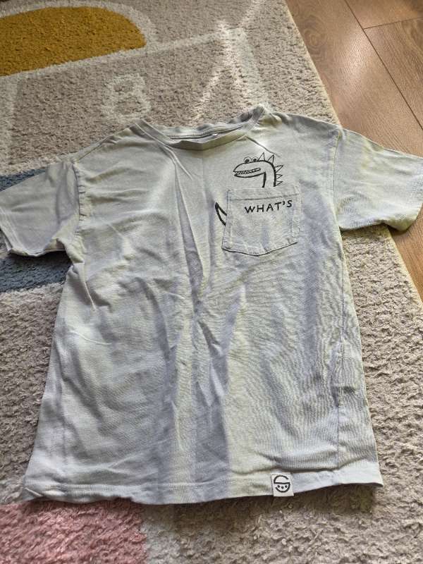 Tshirt dino gray