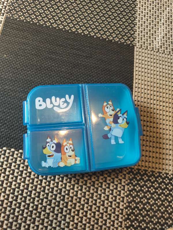Nestisbox bluey