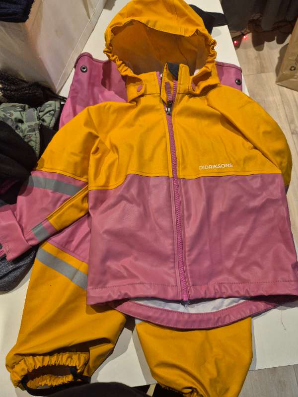 Didriksons pollagalli