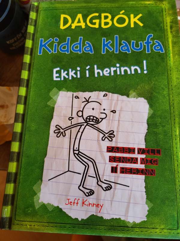 Kiddi klaufi bók nr 3