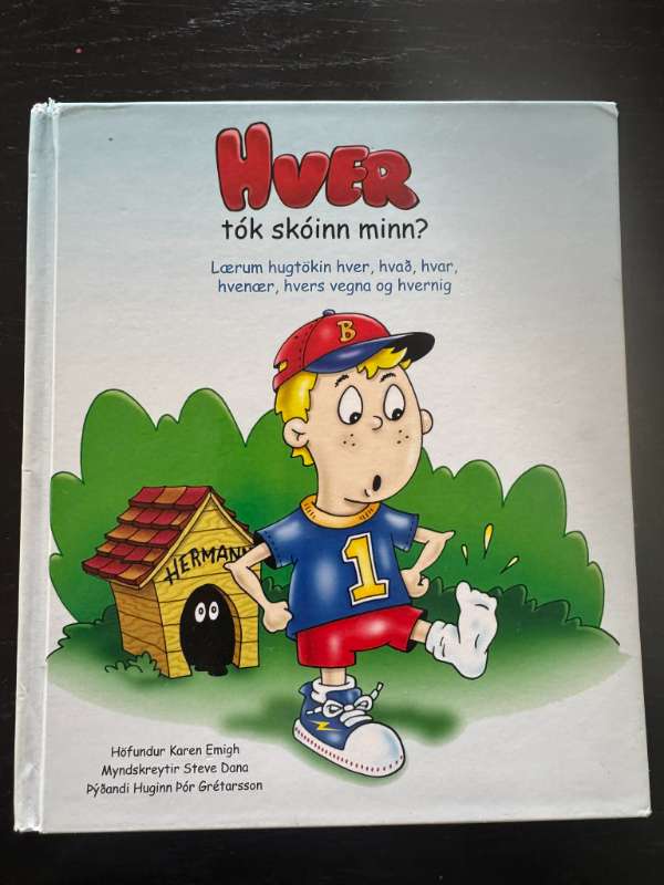 Bók: Hver tók skóinn minn?