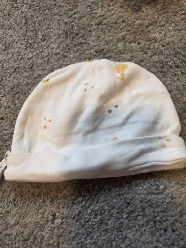 Hat duck