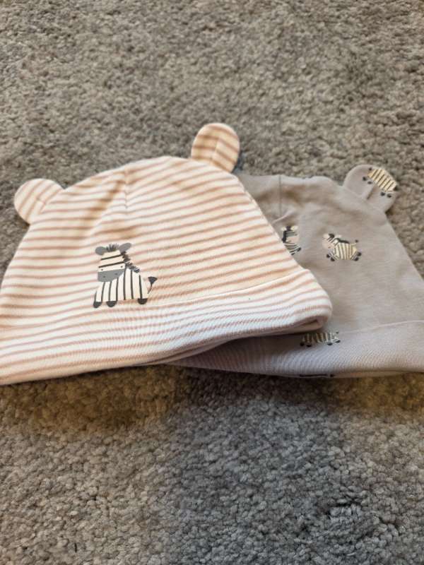 Hat zebra