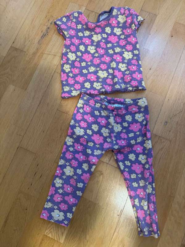 set fiolet kwiaty