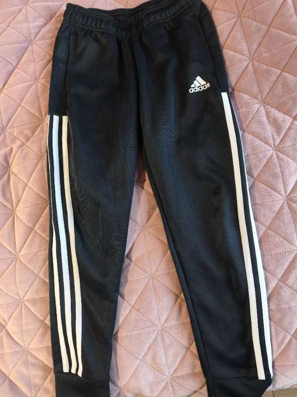 Adidas buxur