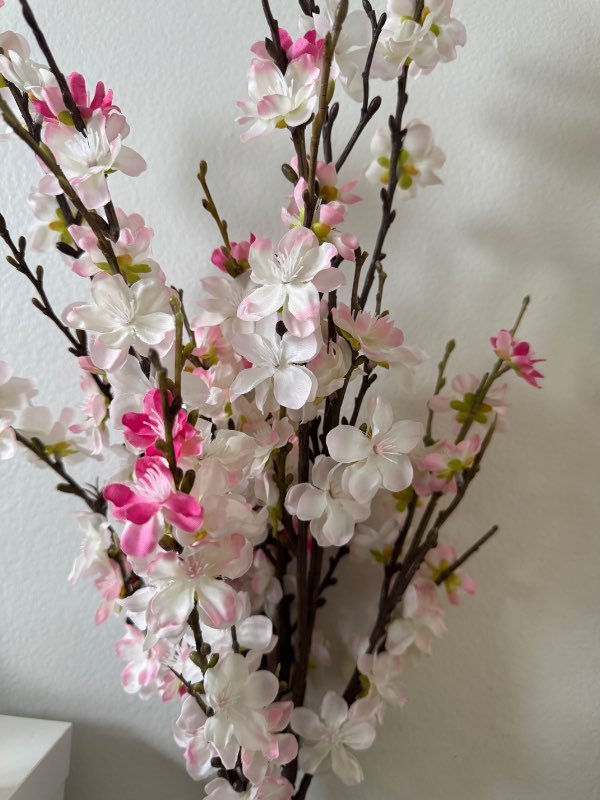 Spring flowers