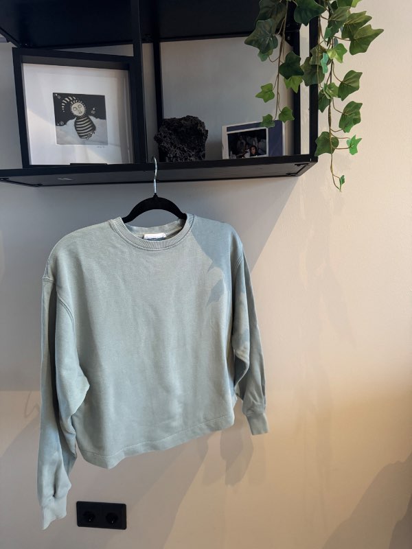 Mango crop peysa