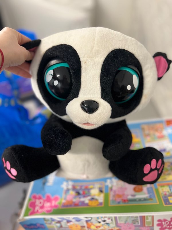 Yolo panda