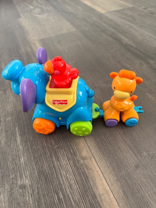 riding elephant