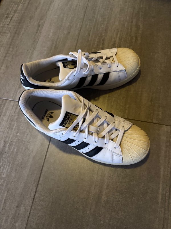 Adidas superstar
