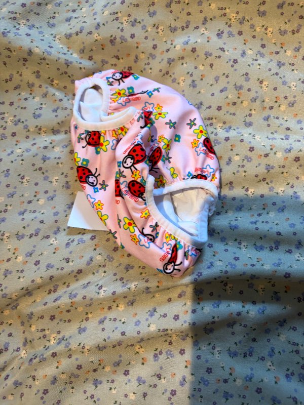 S maríubjöllu sunsdsk