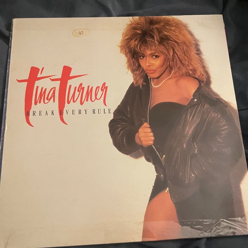 Tina Turner: Break Every Rule - Vínyll
