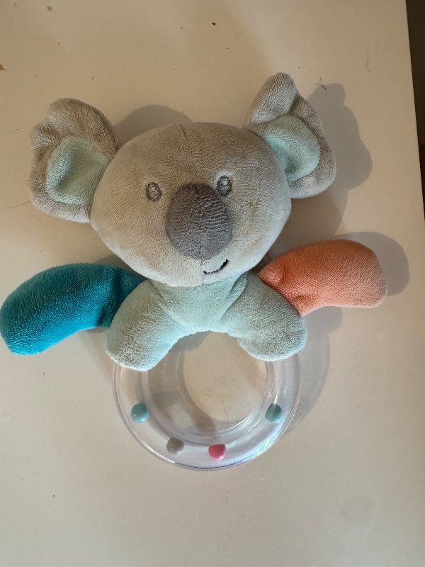 Ungbarnahringla kóalabjörn