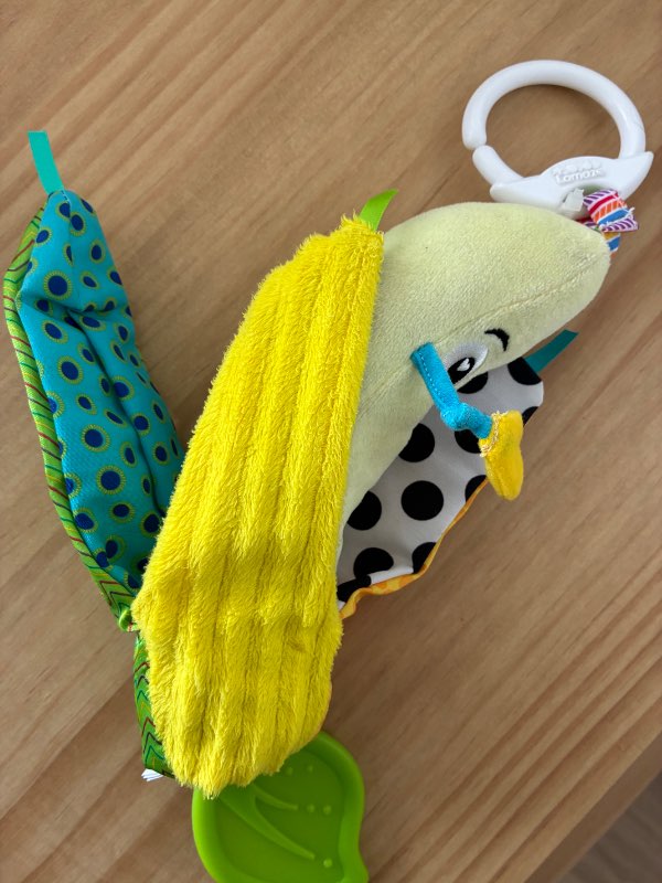 Toy