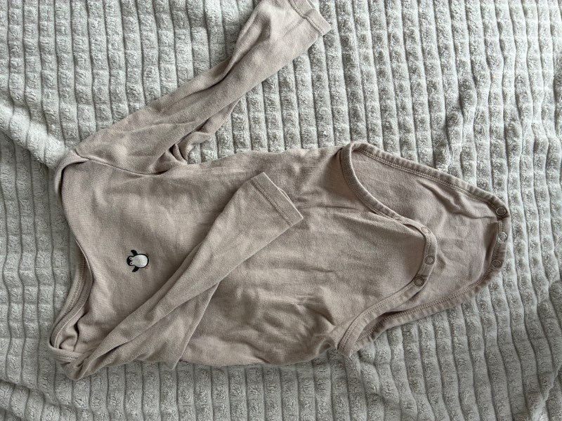Body