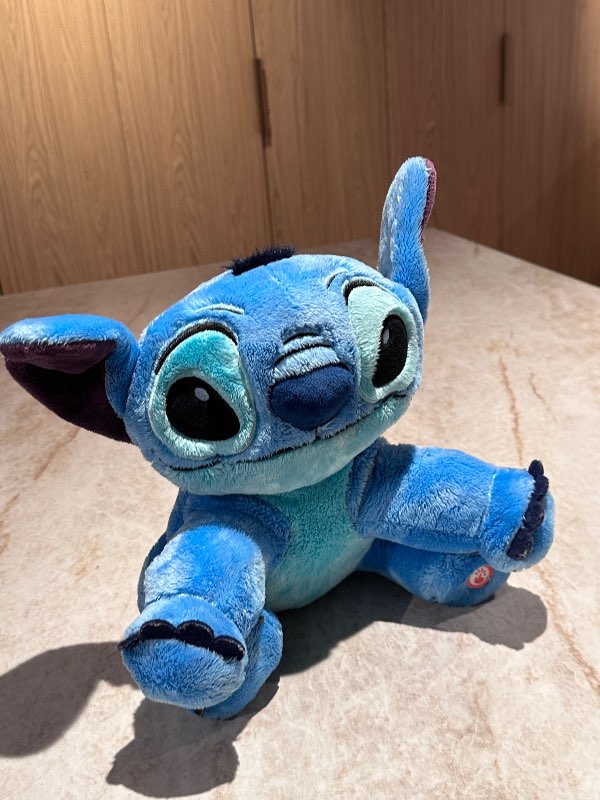 Stitch bangsi
