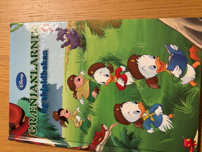 Grænjaxlarnir og skjaldbakan