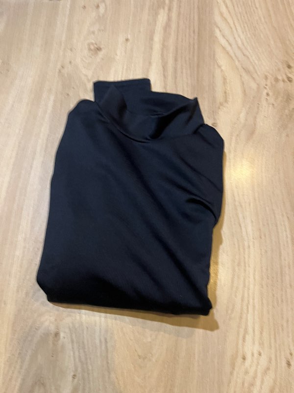 dri fit champion