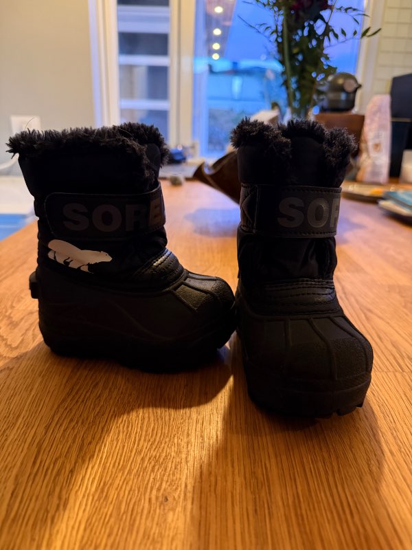 Boots Sorel