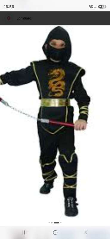 Ninja