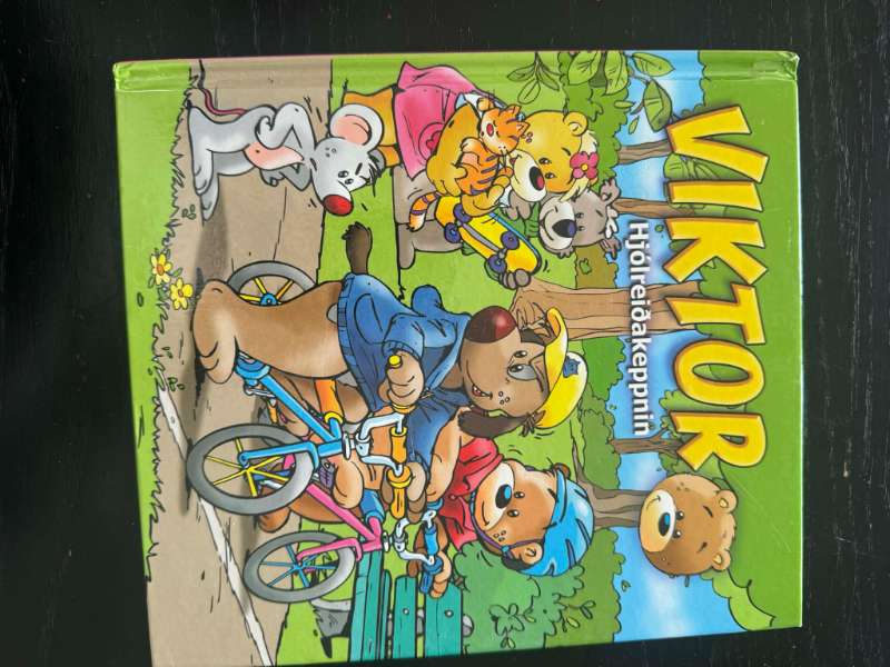 Bók Viktor og hjólreiðakeppnin