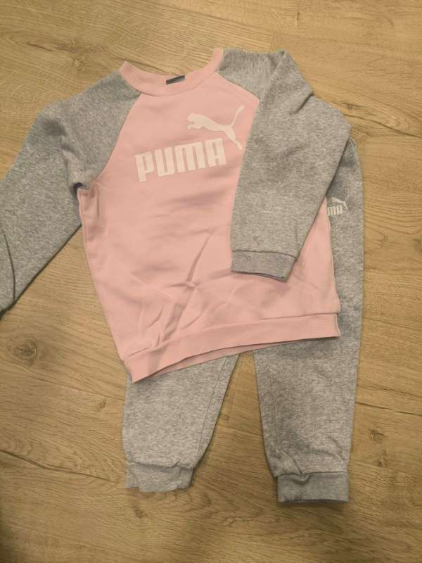 Puma galli bleikur og grár