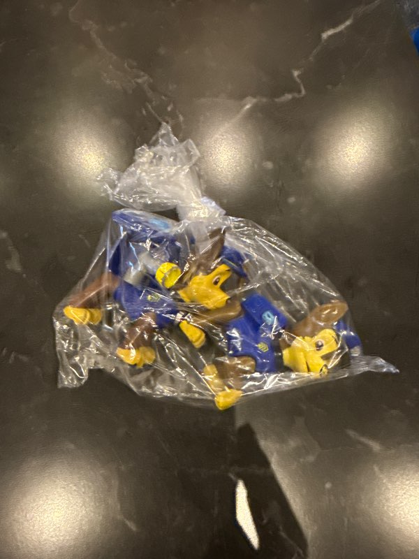 2x kappi hvolpasveit