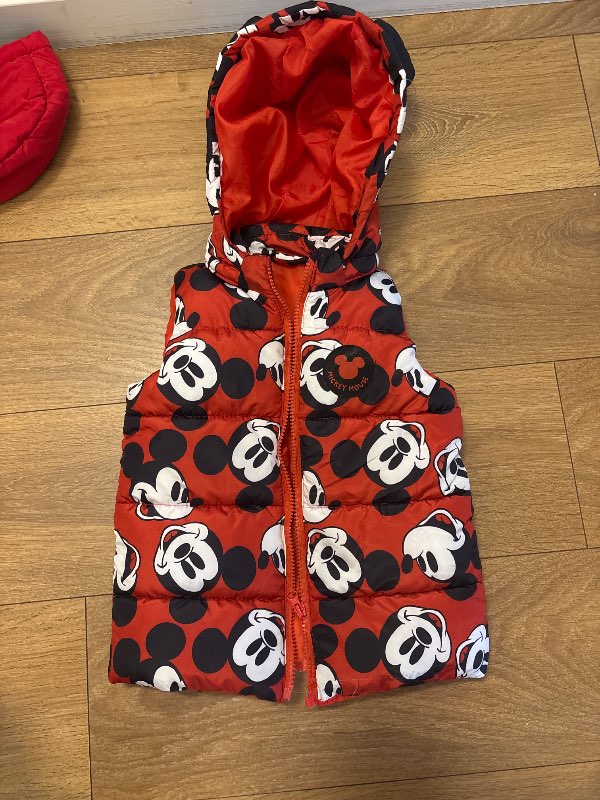 Mickey vest