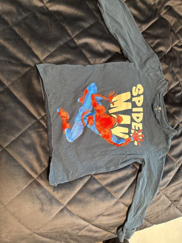 Spiderman siðerma bla