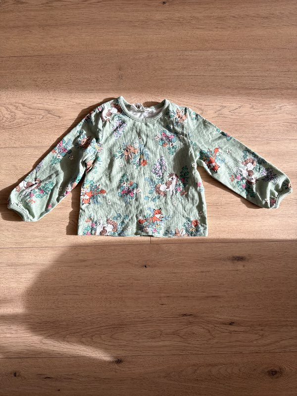 Græn einhyrningapeysa h&m