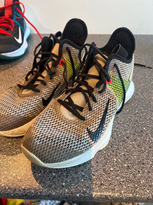 Lebron körfuboltaskór