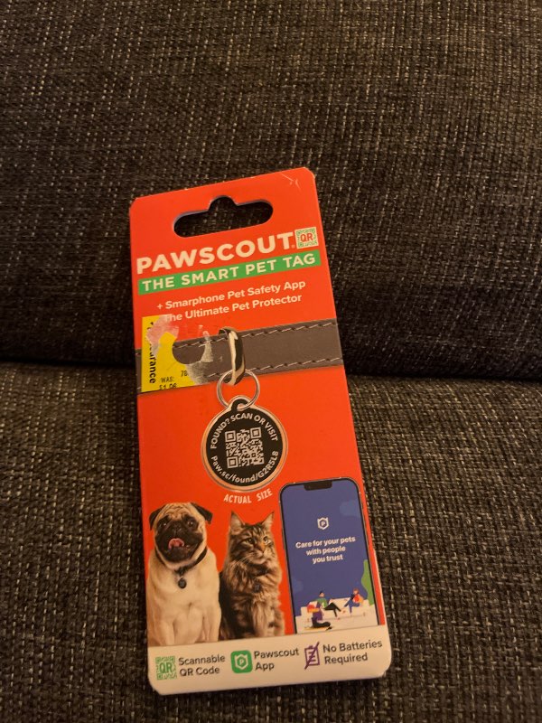 Smart pet tag