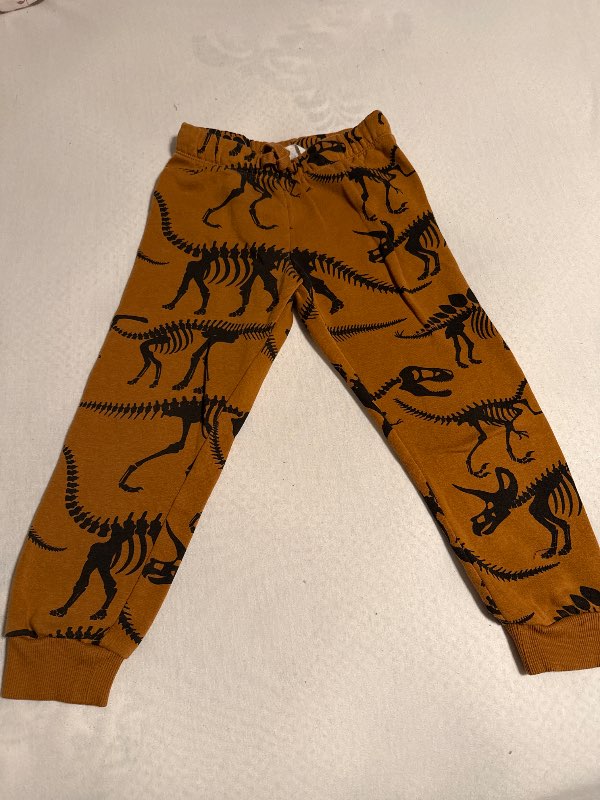 Risaeðlu buxur
