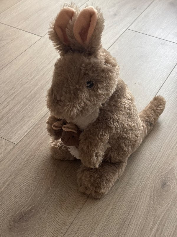 Bangsi kengúra með barni