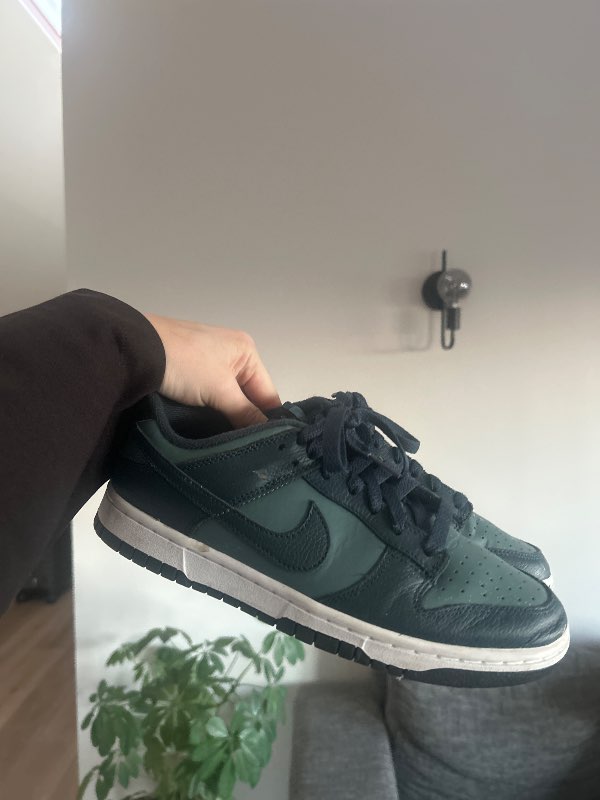 Bláir nike dunks