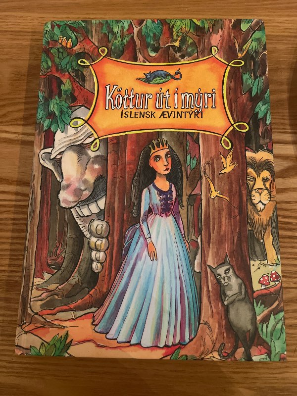 Köttur út í mýri