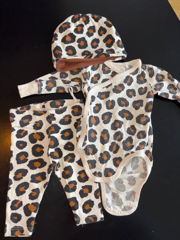 Sett, leopard
