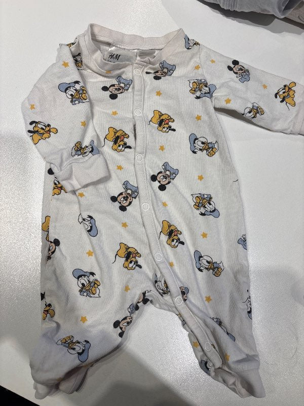 Hm nattgalli mikkimus
