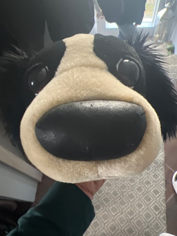 Hund