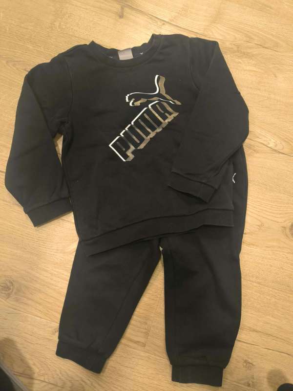 Puma galli svartur