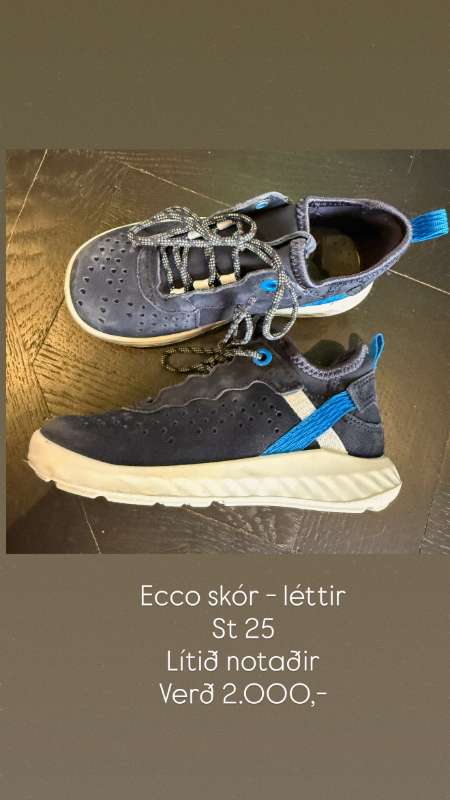 Ecco strigaskór m reimum