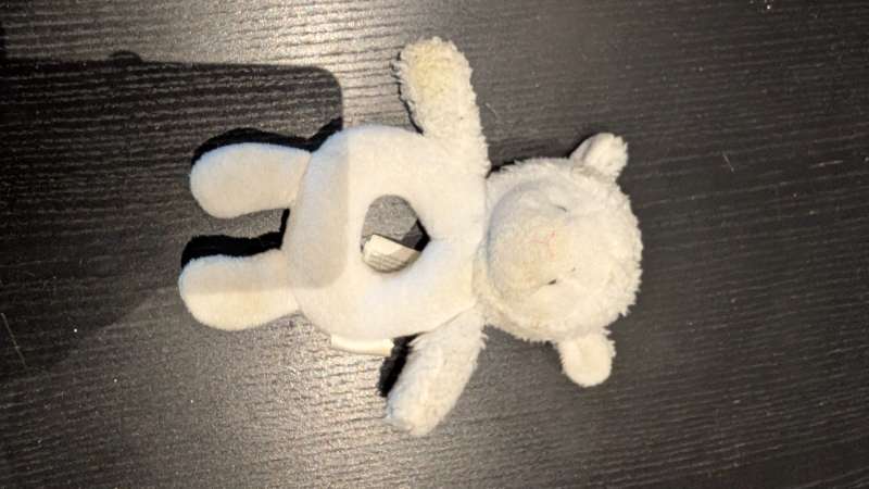 Carter's hringla lamb