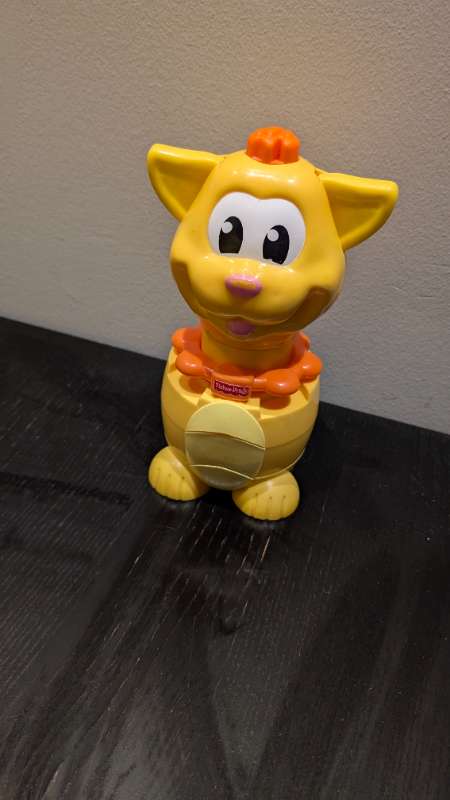 Kisa með hljóði Fisher price