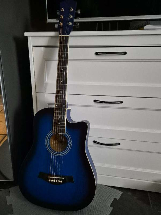 MSA Acoustic Guitar