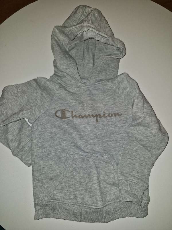 Gray Champion Sweater