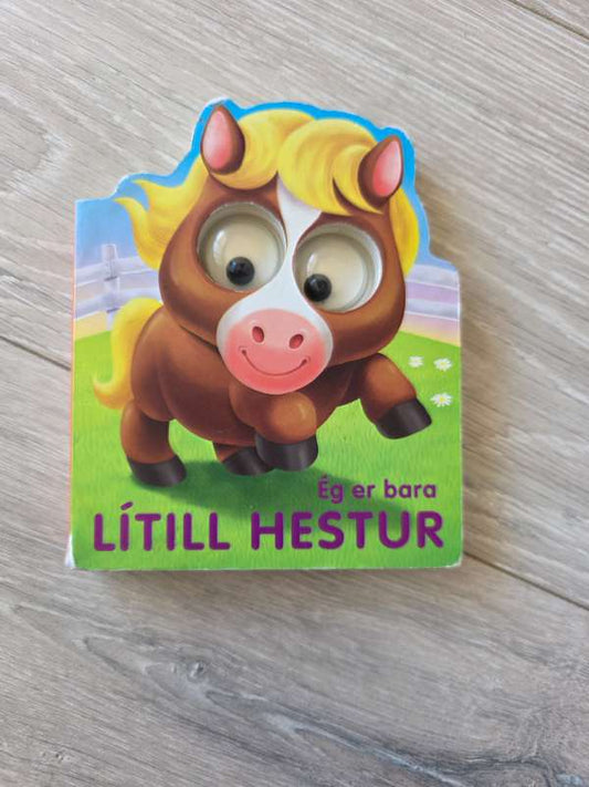 Lítill hestur bók