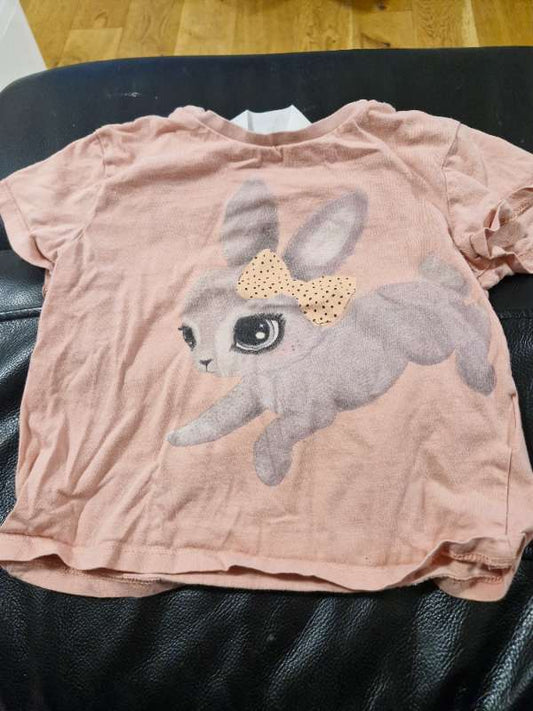 Kanínu bolur